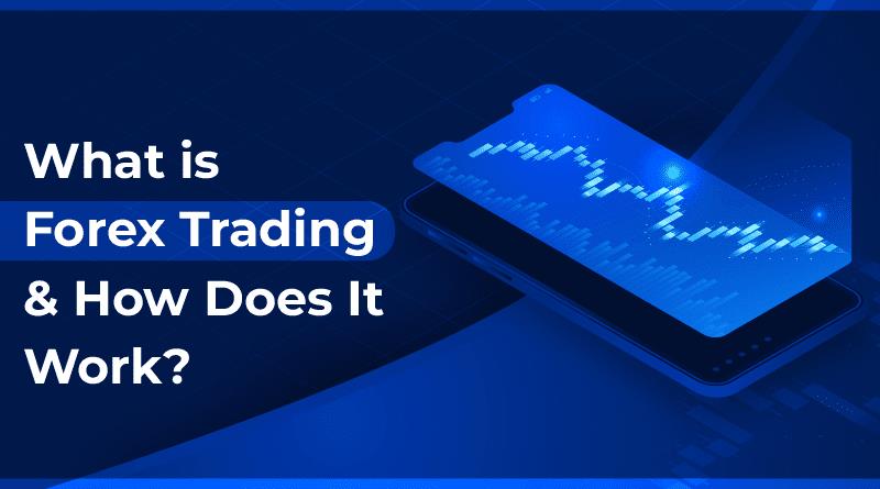 Tested: I Used Forex Free Trading Signals for 30 Days in 2026 (The Results)